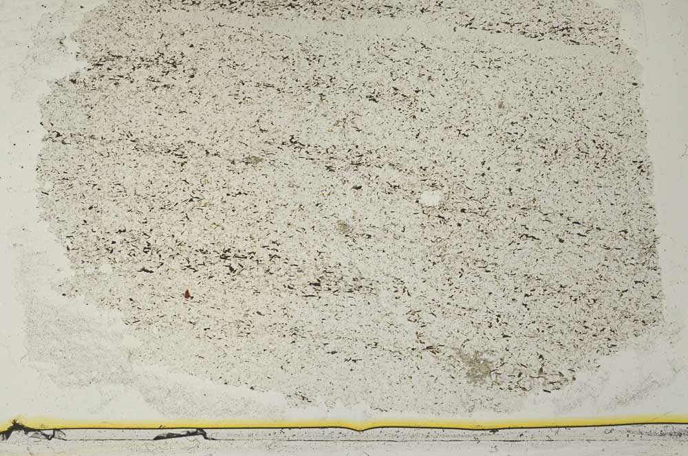 Plane Polarized, S36781