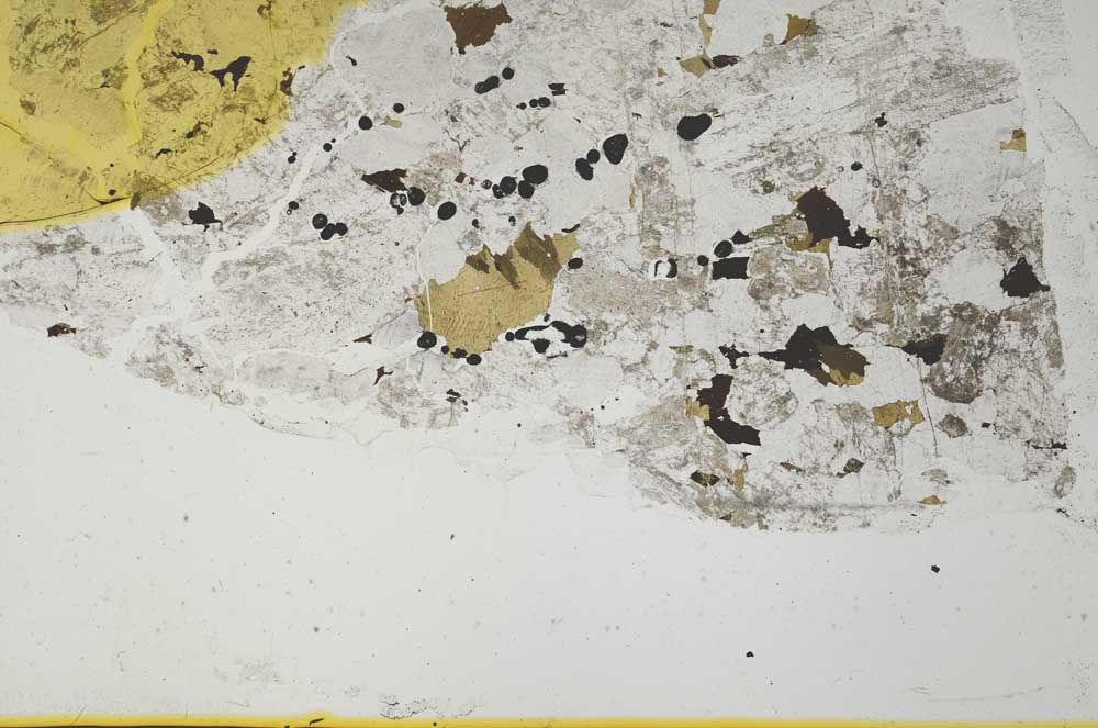 Plane Polarized, S36818