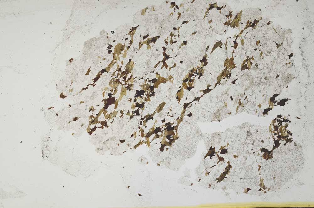 Plane Polarized, S36821