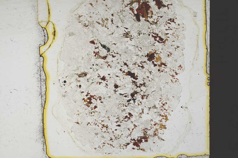 Plane Polarized, S36826