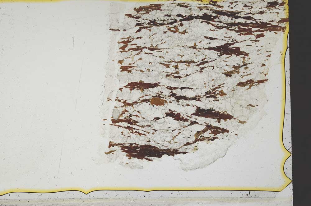 Plane Polarized, S36839