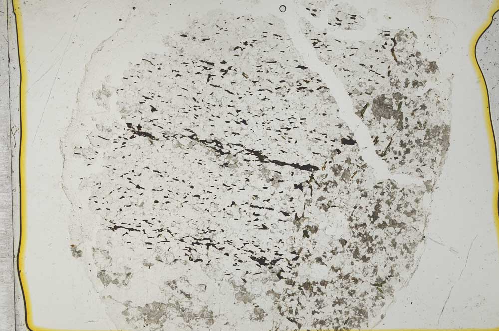 Plane Polarized, S36840/A