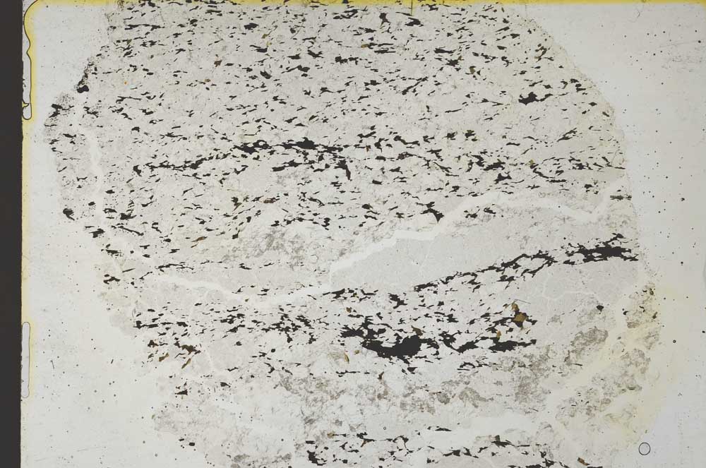 Plane Polarized, S36843