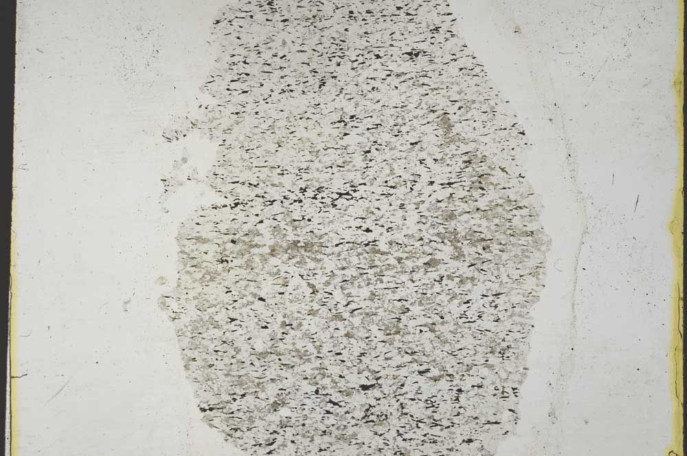 Plane Polarized, S36845