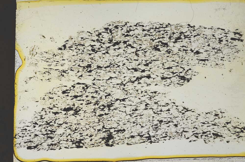 Plane Polarized, S36847