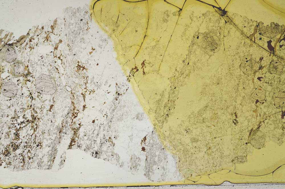 Plane Polarized, S36866