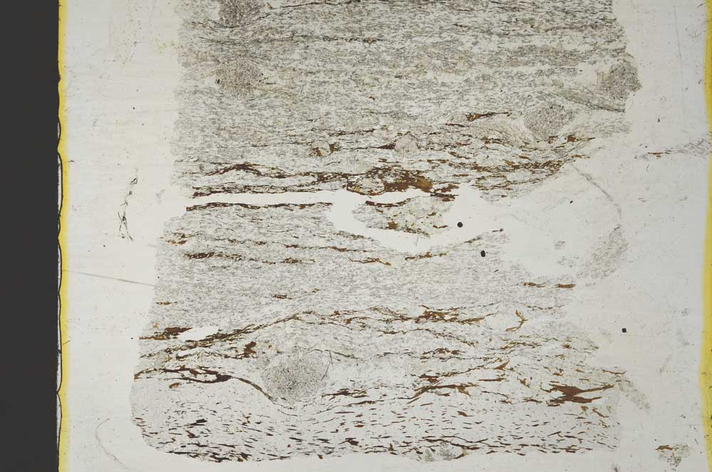 Plane Polarized, S36867