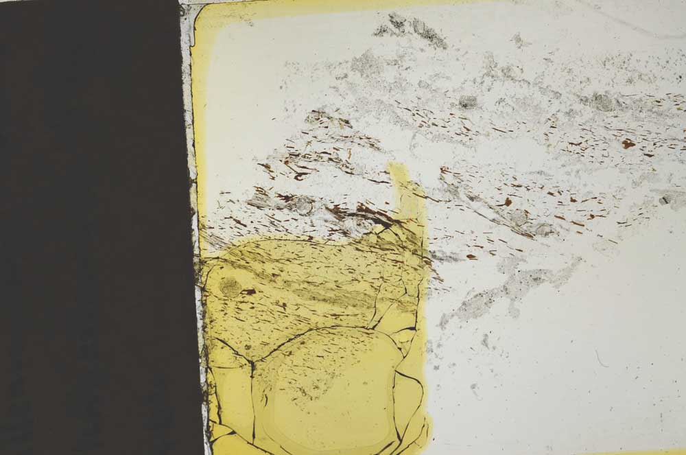 Plane Polarized, S36870