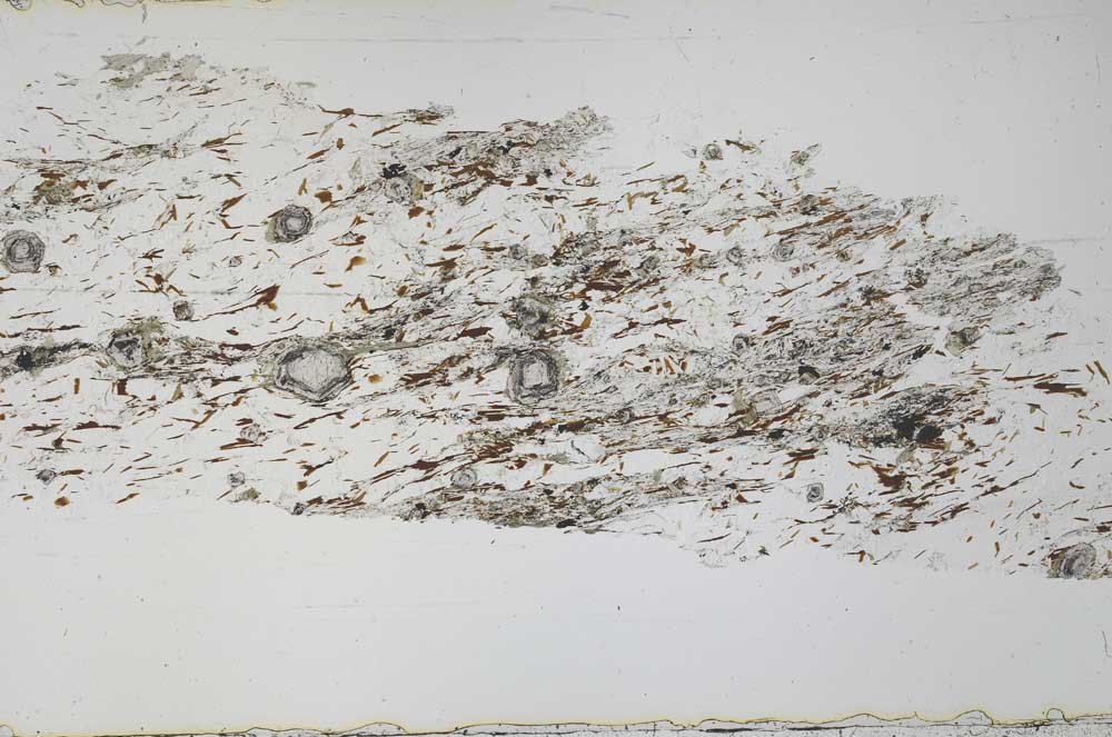 Plane Polarized, S36871
