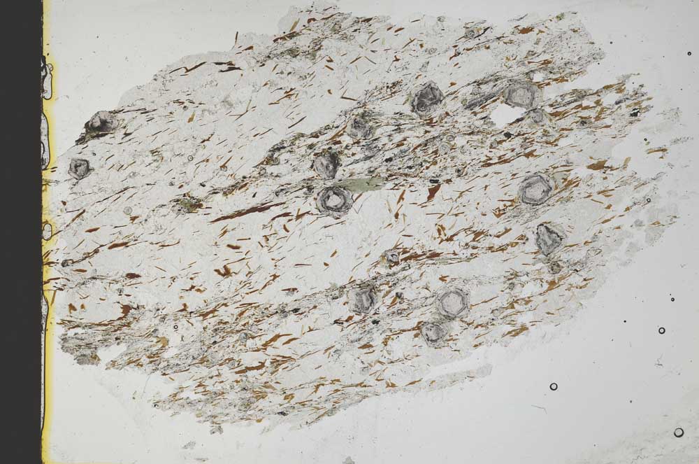 Plane Polarized, S36871/A