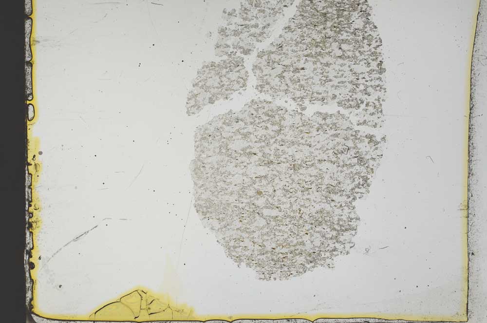 Plane Polarized, S36873