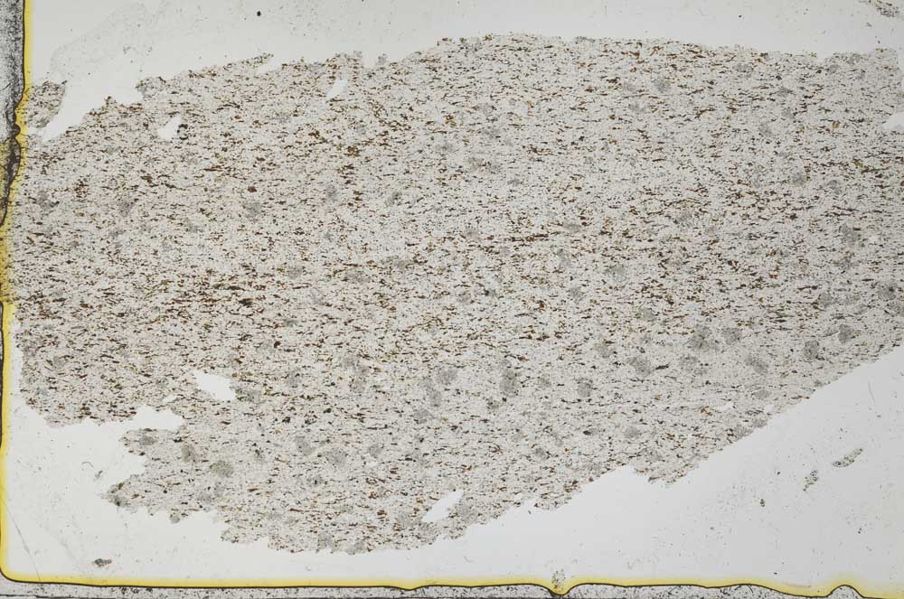Plane Polarized, S36885
