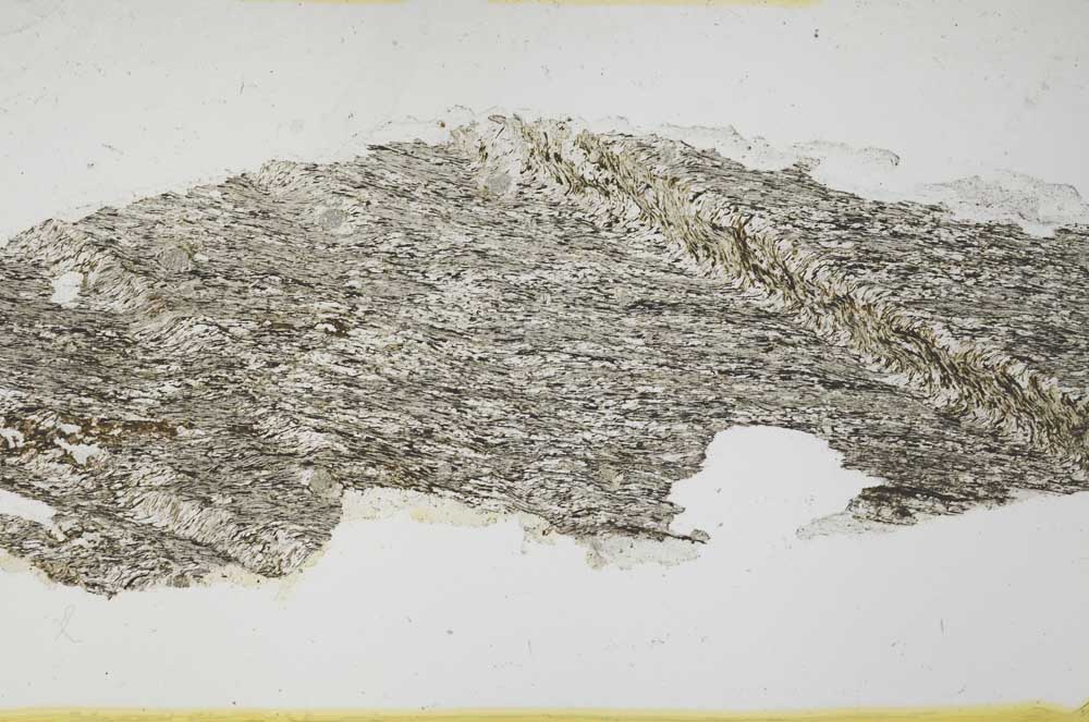 Plane Polarized, S36889