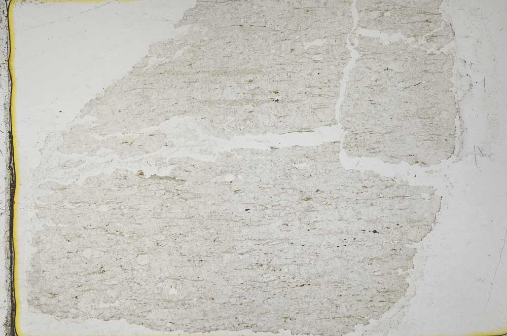 Plane Polarized, S36890