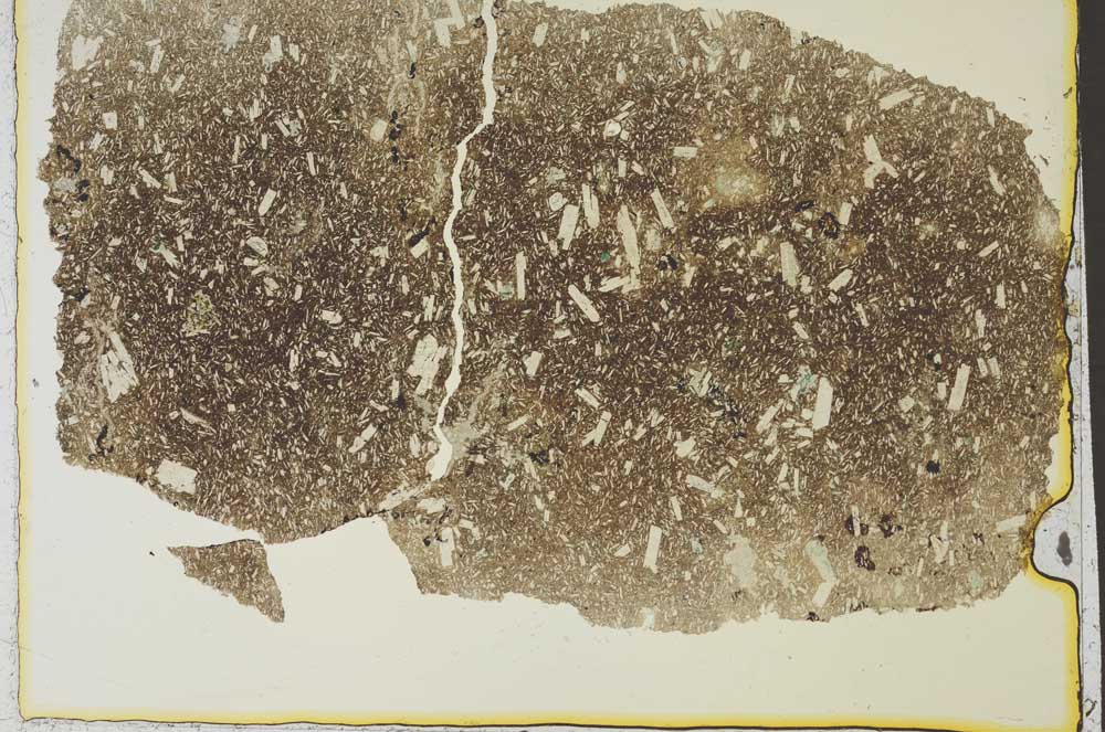 Plane Polarized, S36902