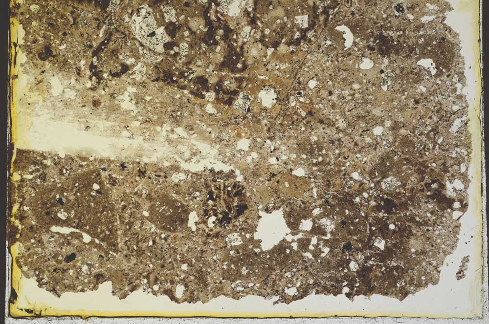 Plane Polarized, S36911