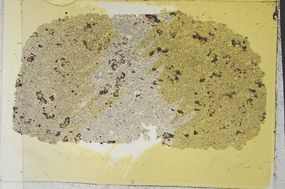 Plane Polarized, S36912