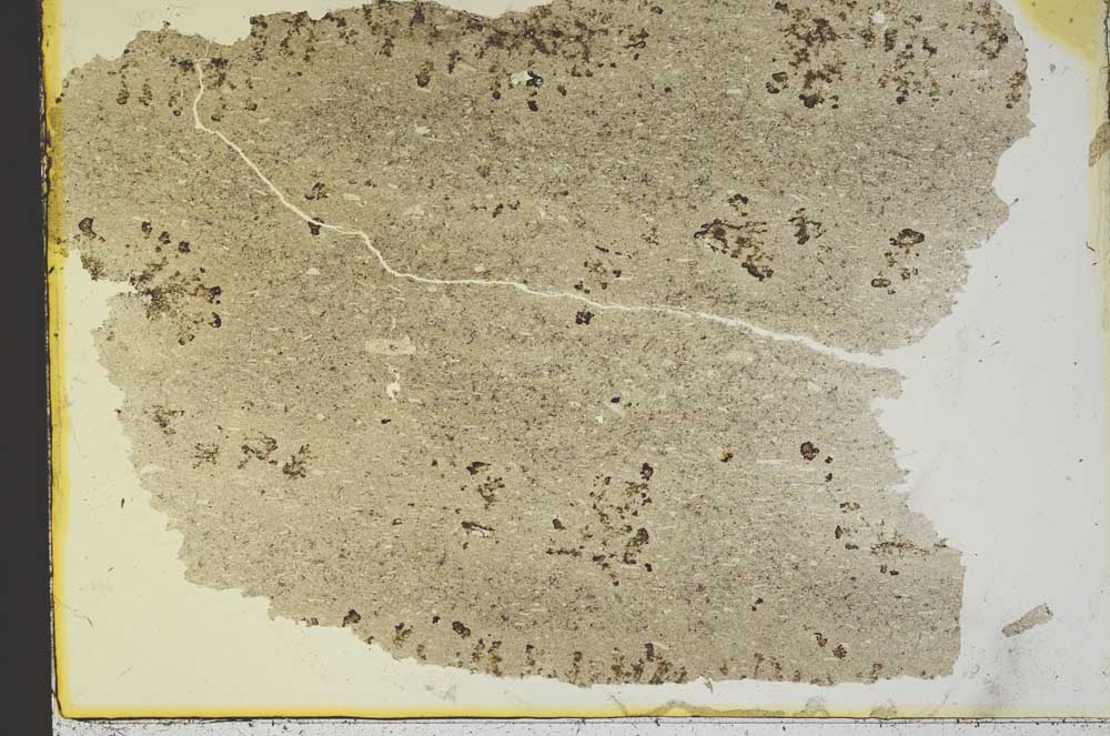 Plane Polarized, S36916