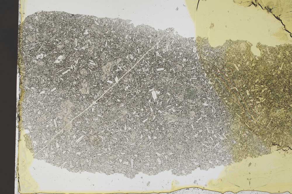 Plane Polarized, S36950