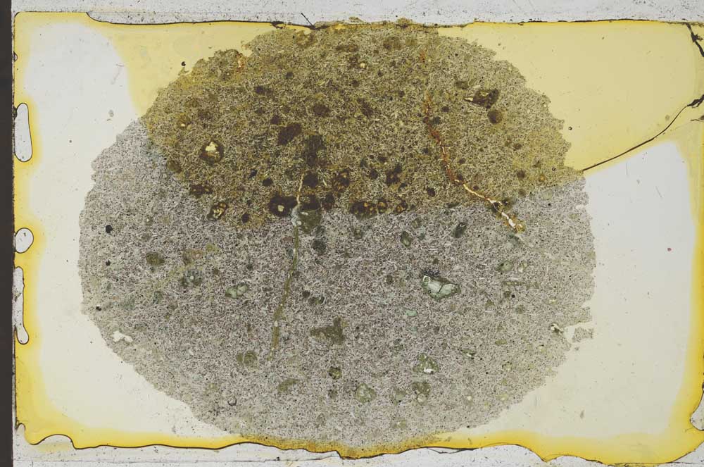 Plane Polarized, S36951