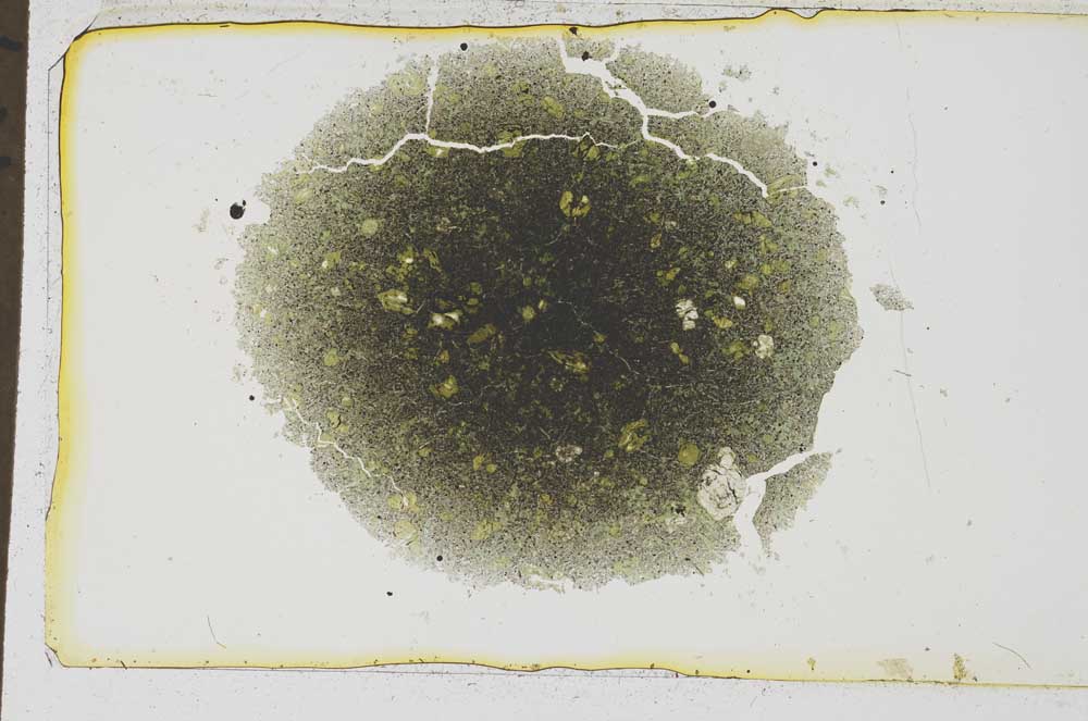 Plane Polarized, S36952