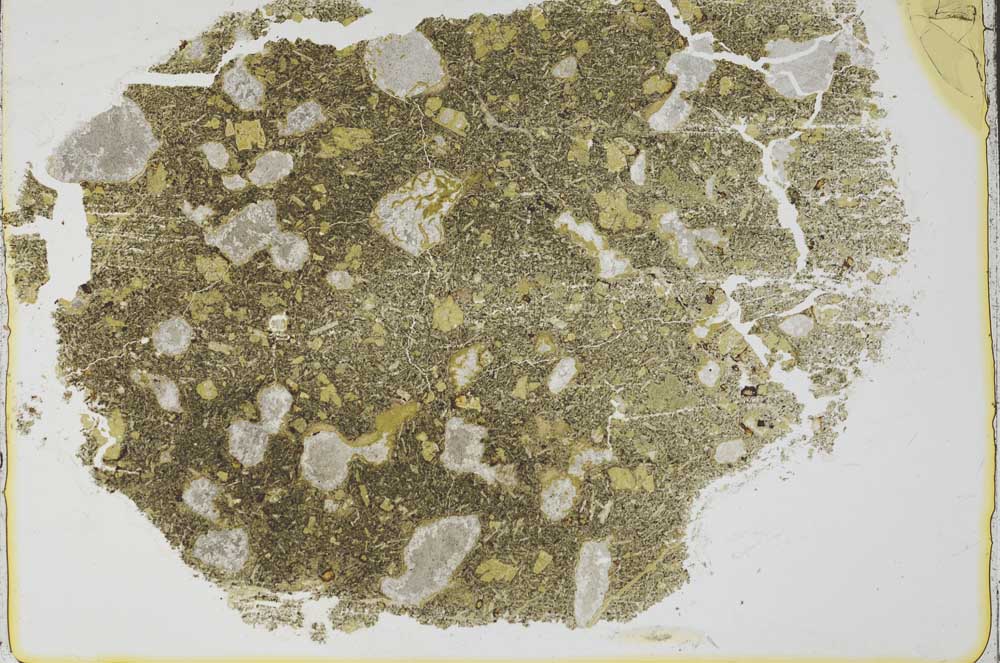 Plane Polarized, S36953