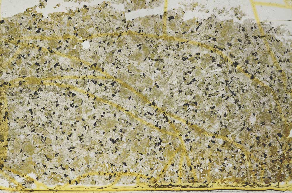 Plane Polarized, S37010