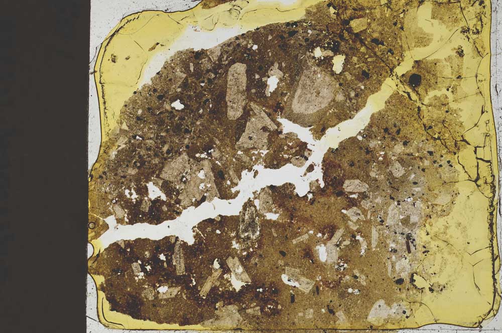 Plane Polarized, S37020