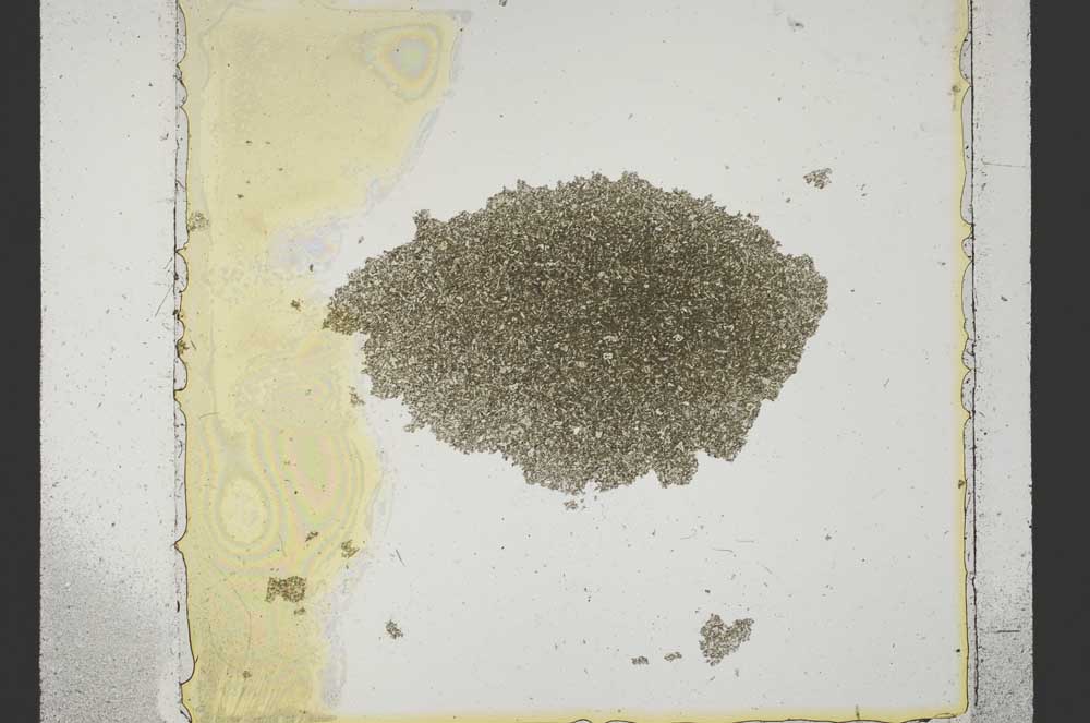 Plane Polarized, S37021