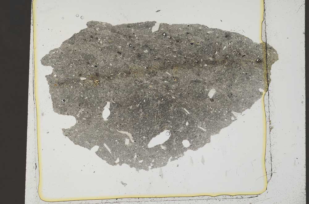 Plane Polarized, S37022