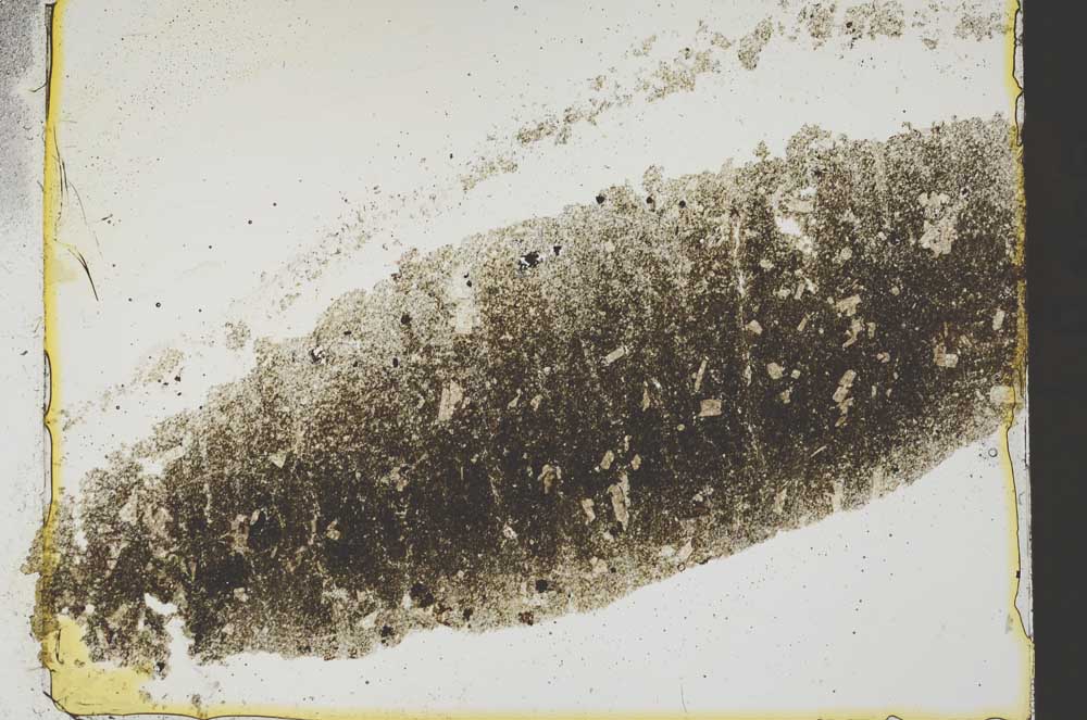 Plane Polarized, S37023