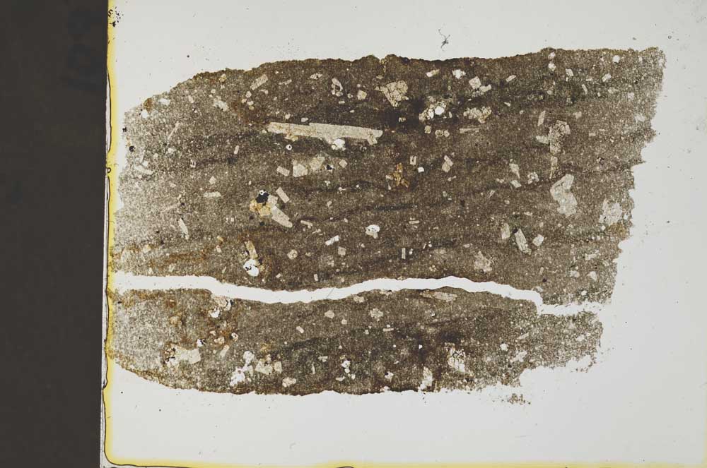 Plane Polarized, S37024