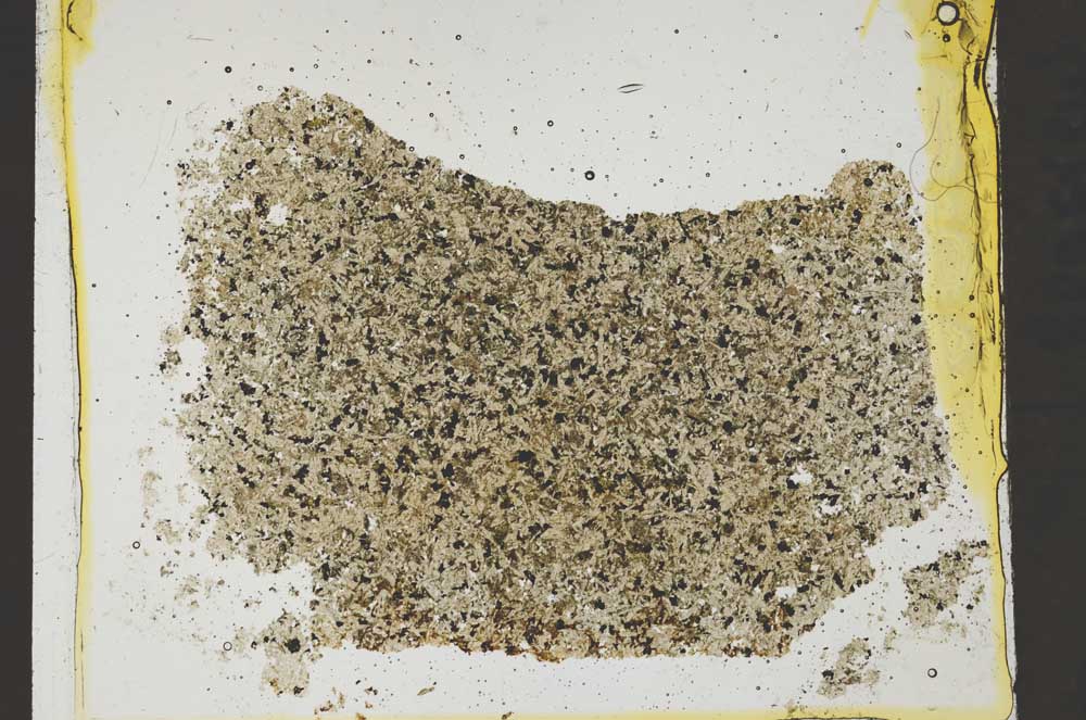 Plane Polarized, S37026