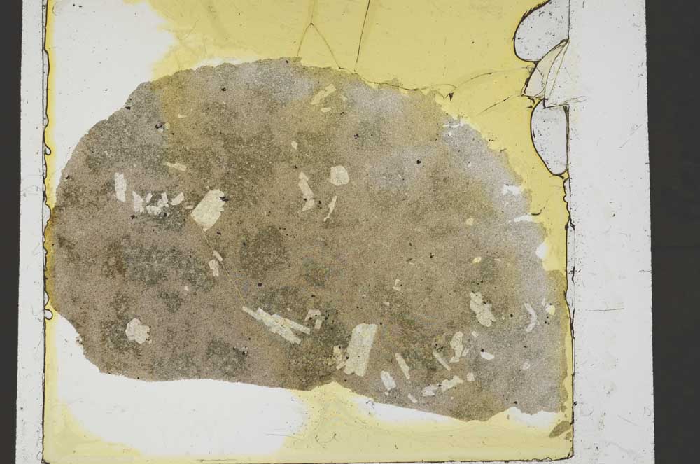 Plane Polarized, S37029