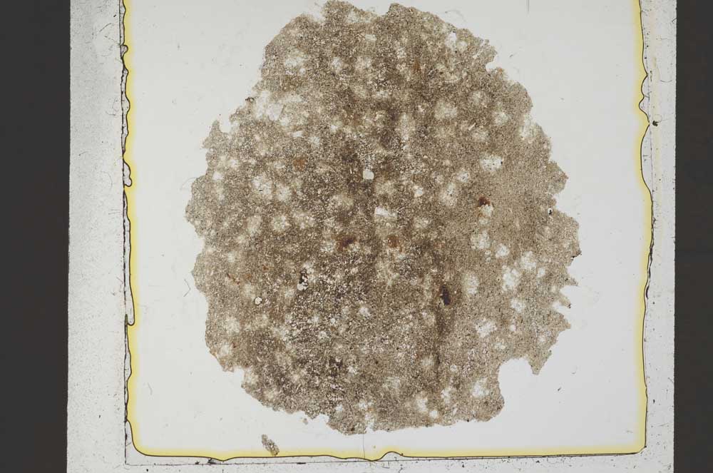 Plane Polarized, S37030