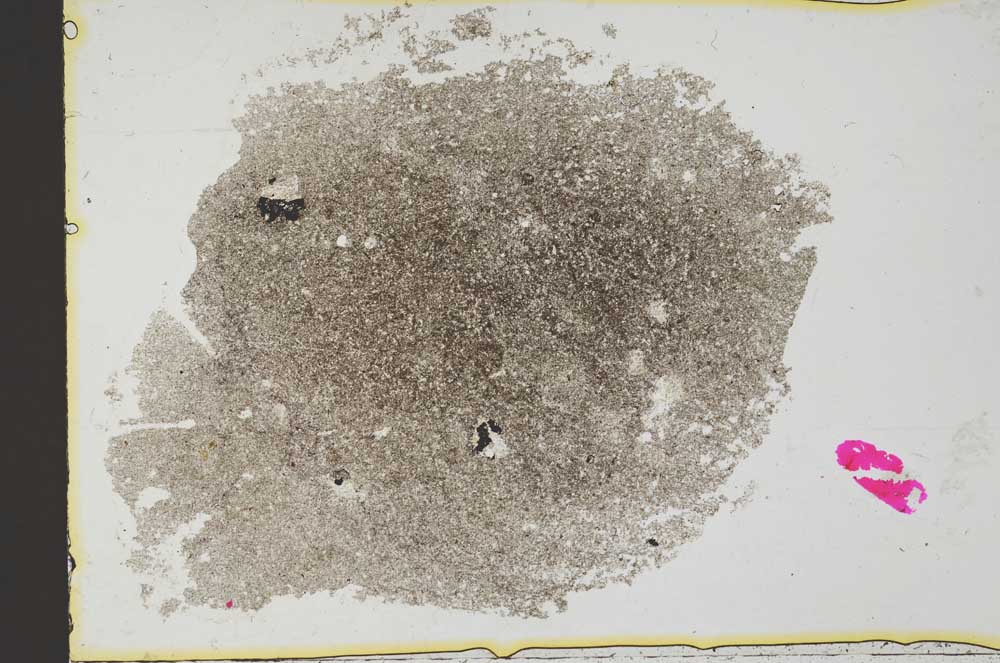 Plane Polarized, S37045