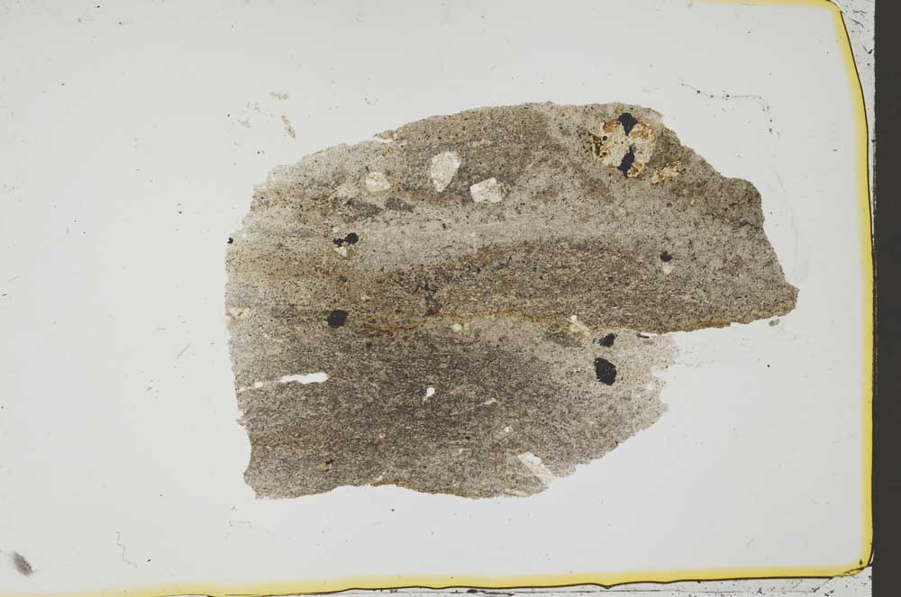 Plane Polarized, S37048