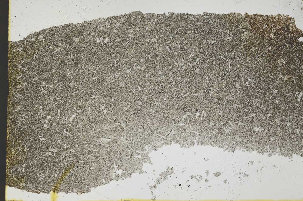 Plane Polarized, S37067