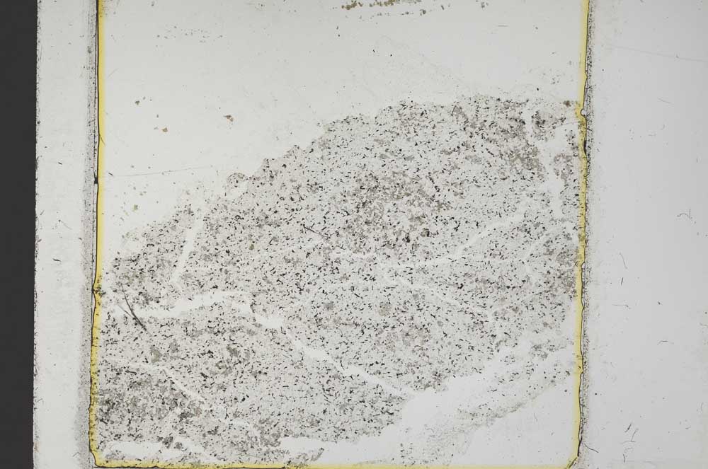 Plane Polarized, S37210