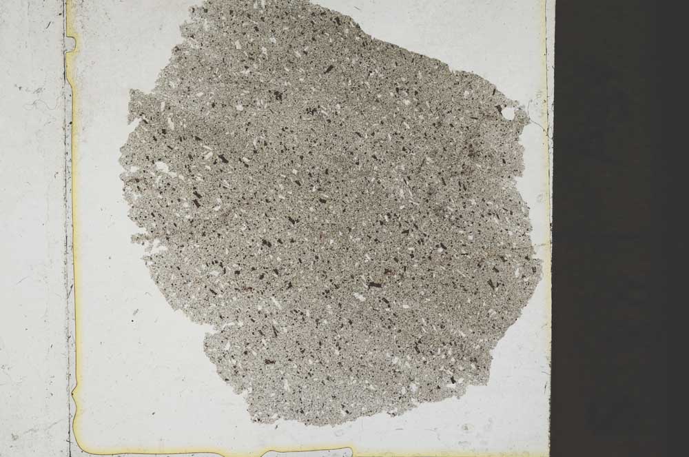 Plane Polarized, S37225