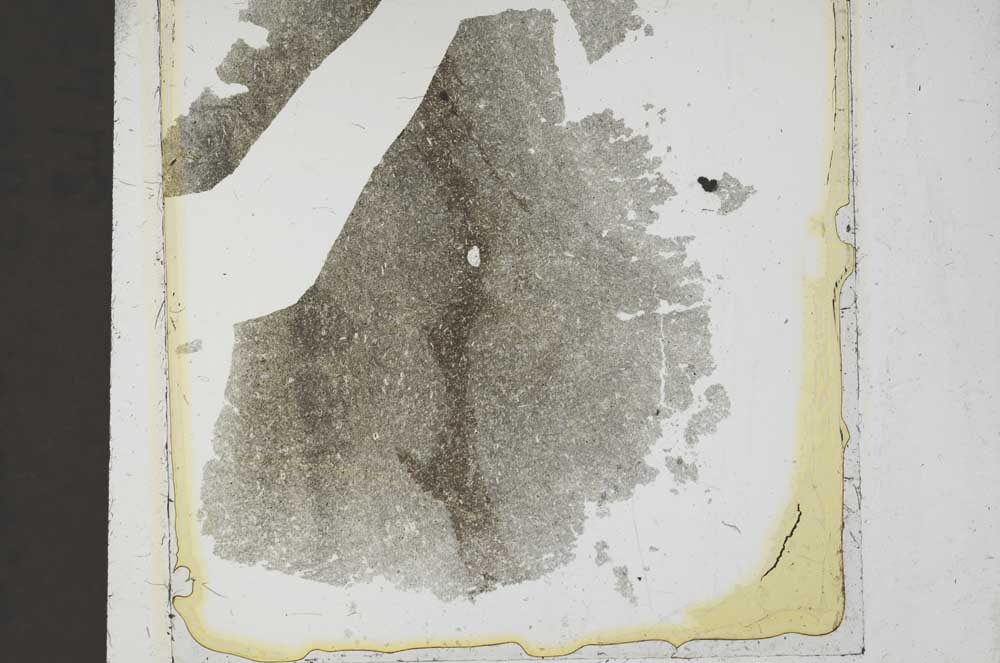 Plane Polarized, S37235