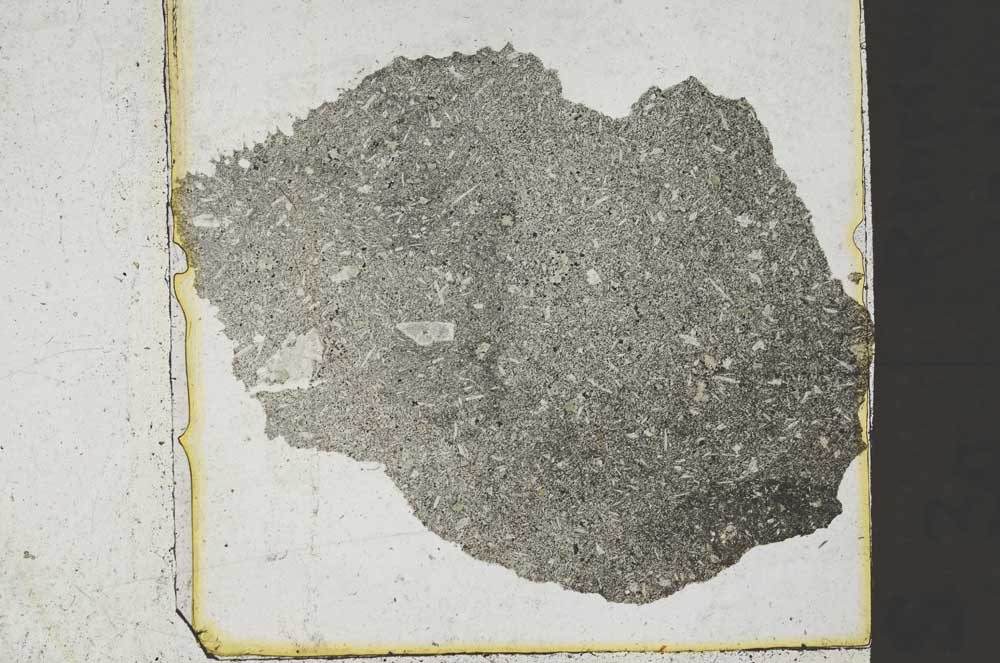 Plane Polarized, S37237
