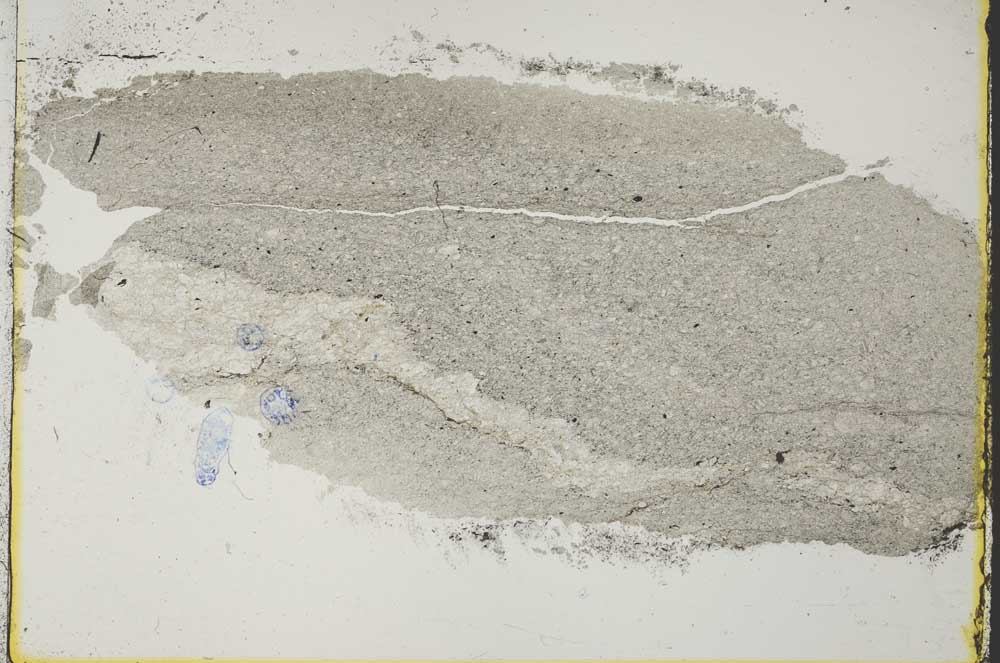 Plane Polarized, S37246