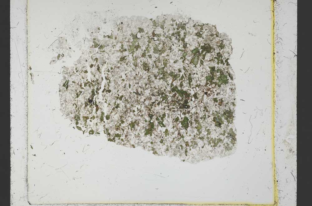 Plane Polarized, S37391