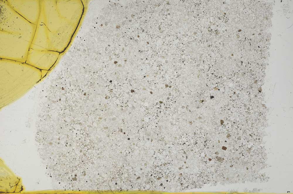 Plane Polarized, S37404