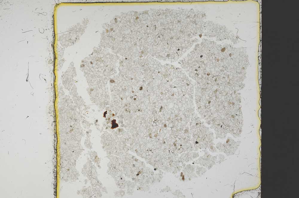 Plane Polarized, S37405