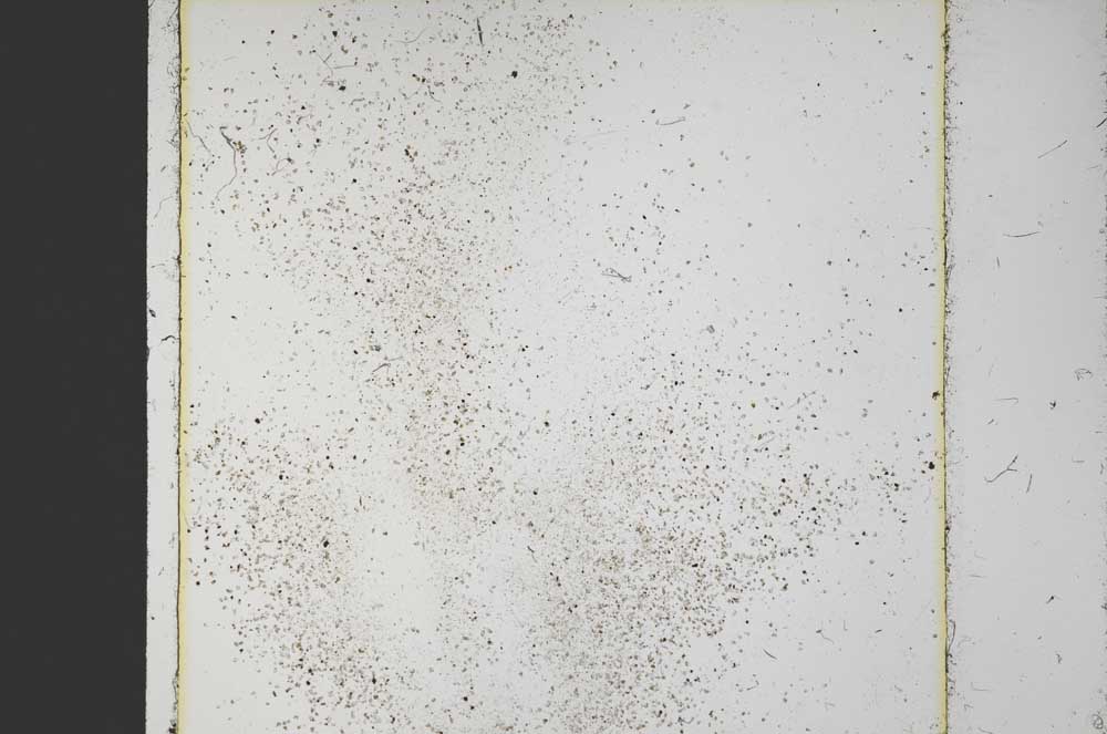 Plane Polarized, S37405/A