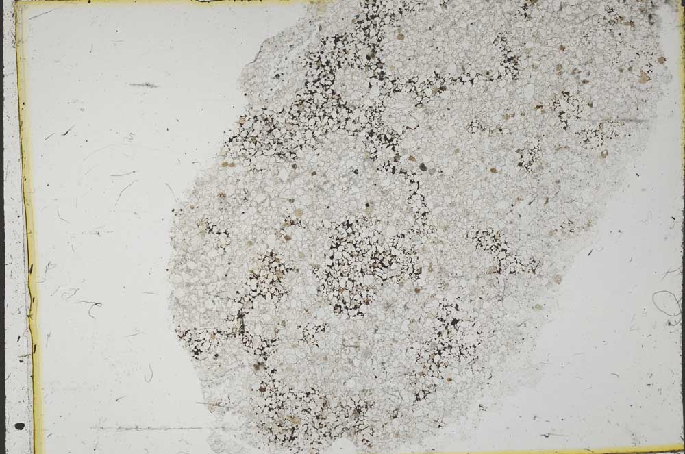 Plane Polarized, S37406