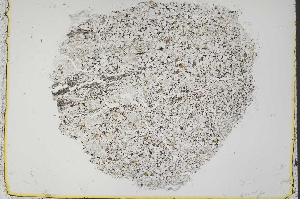 Plane Polarized, S37407