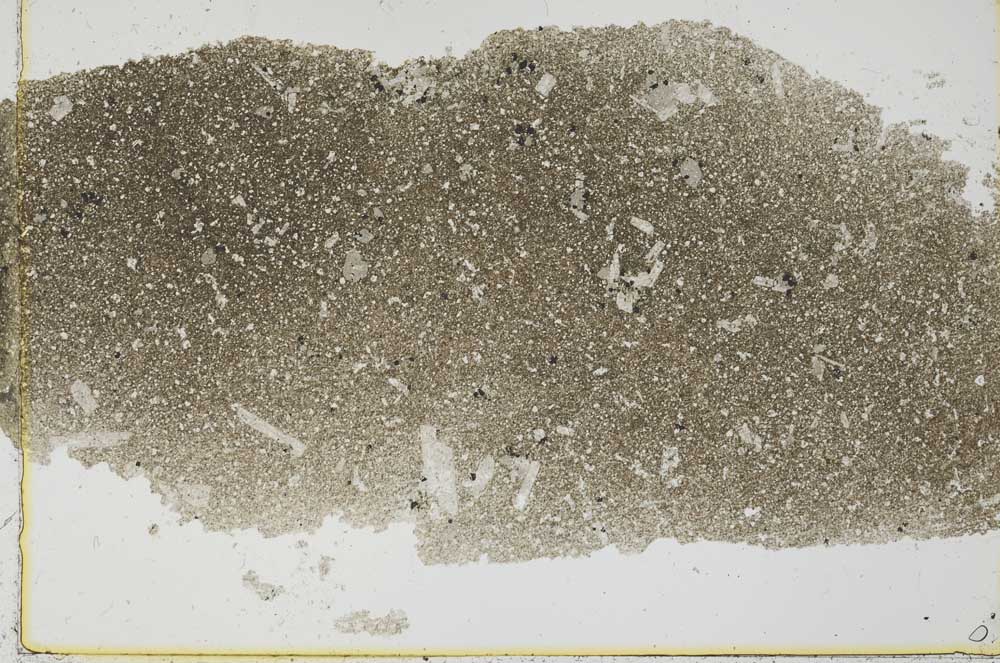 Plane Polarized, S37415
